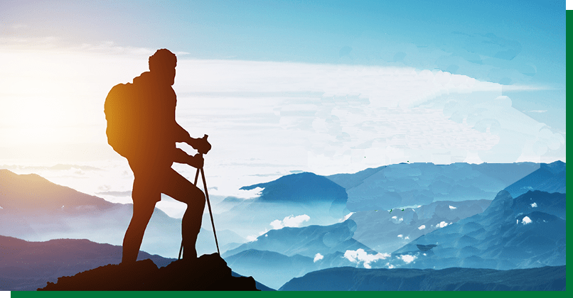 甲基丙烯酸十八酯